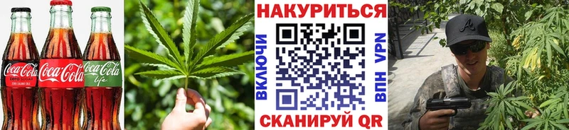 купить наркотики сайты  hydra ONION  Canna-Cookies конопля  Кузнецк 